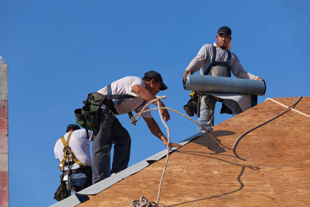 Best Roof Maintenance Services  in West End Cobb Town, AL